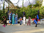 Eden Project - Community Arts Day - February 2008