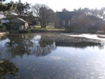 Sunny Morning - Consols Pond St Ives - February 2015