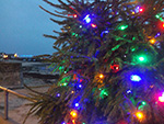 Christmas Lights - St Ives Harbour - December 2015