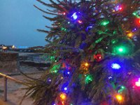 Christmas - St Ives Cornwall