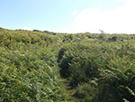 Carnstabba Hill - St Ives - Cornwall - Pathway Up the Hill