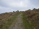 Rosewall Hill - St Ives - Cornwall - Pathway
