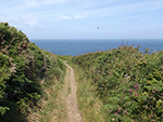 St Ives Cornwall - Walks - Hellesveor