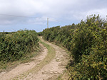 St Ives - Hellesveor - Path to the Coast